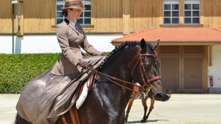 Haras National Suisse